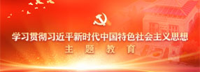 学习贯彻习近平新时代中国特色社会主义思想主题爱游戏app资助意甲专题网